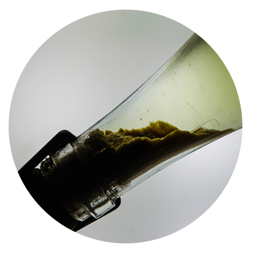 белые хлопья в вине