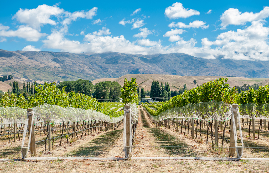 Центральное Отаго