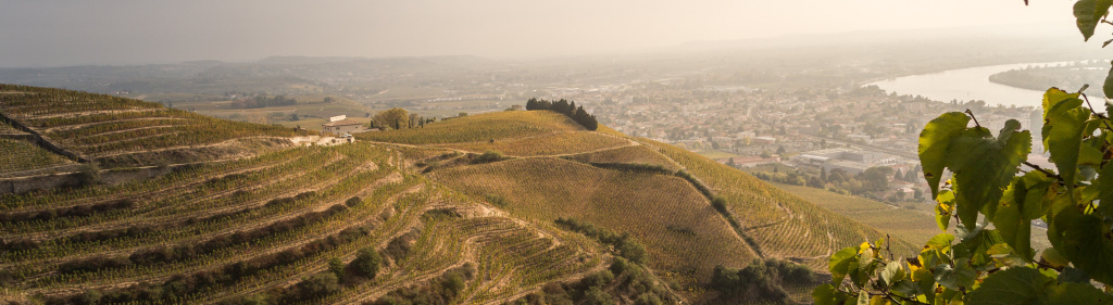 Северная Рона: Эрмитаж