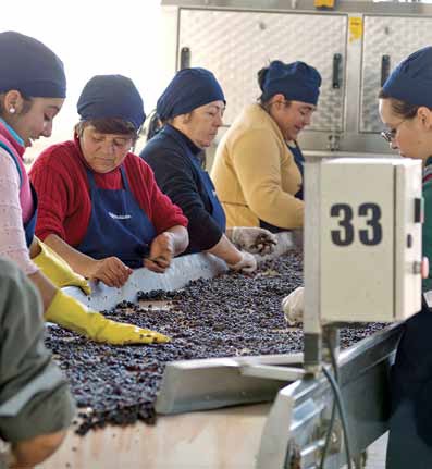 Триаж красного