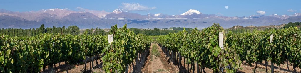 До 800 метров 