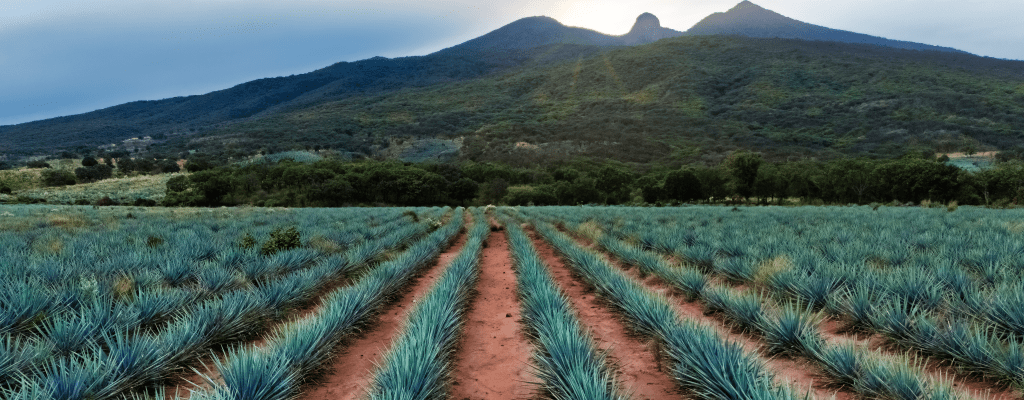 Этапы производства