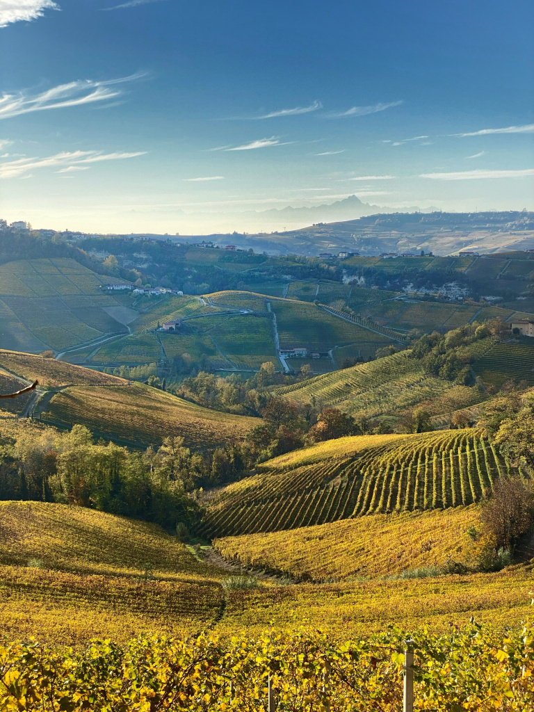Poderi Luigi Einaudi
