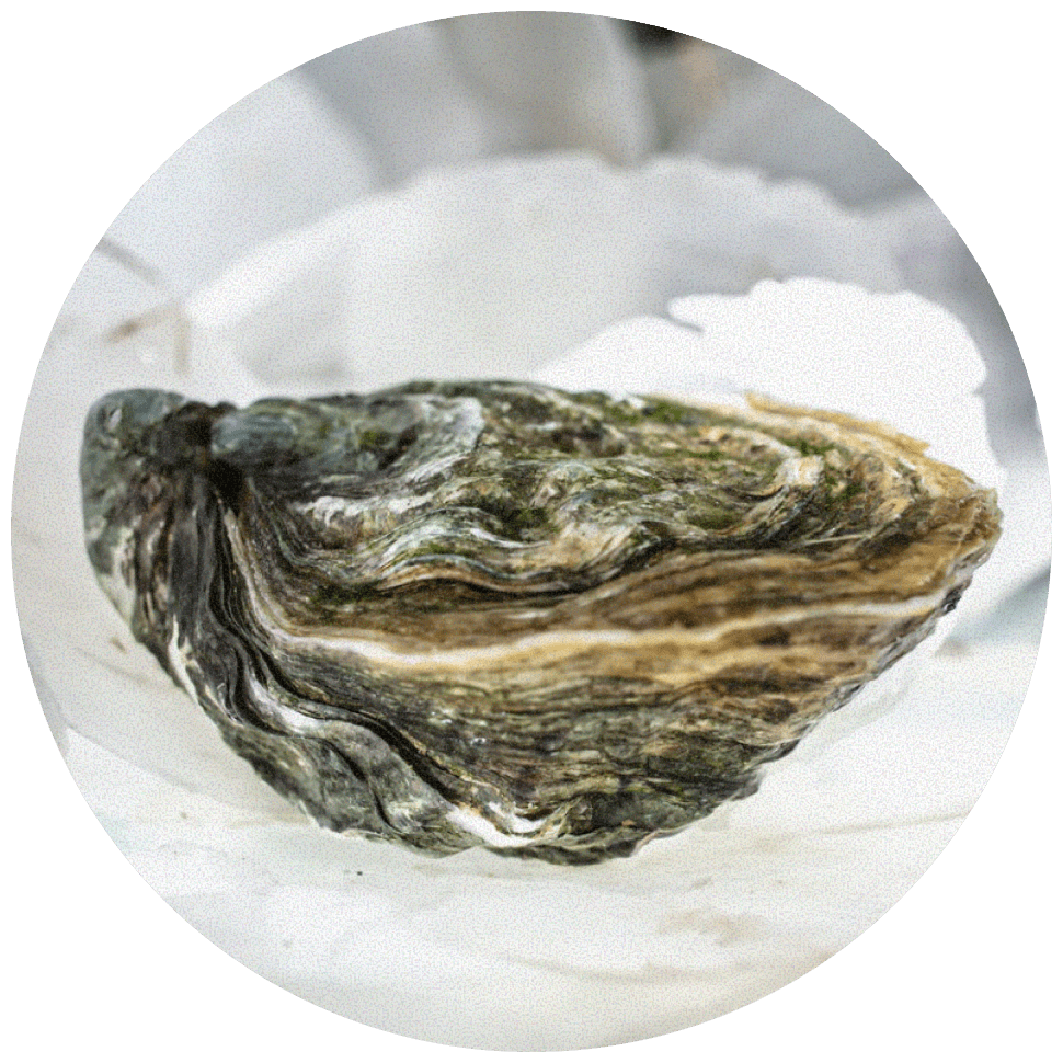 Жозефина (Joséphine)