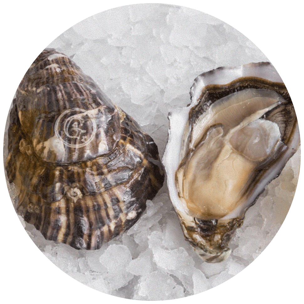 Жилардо (Gillardeau)