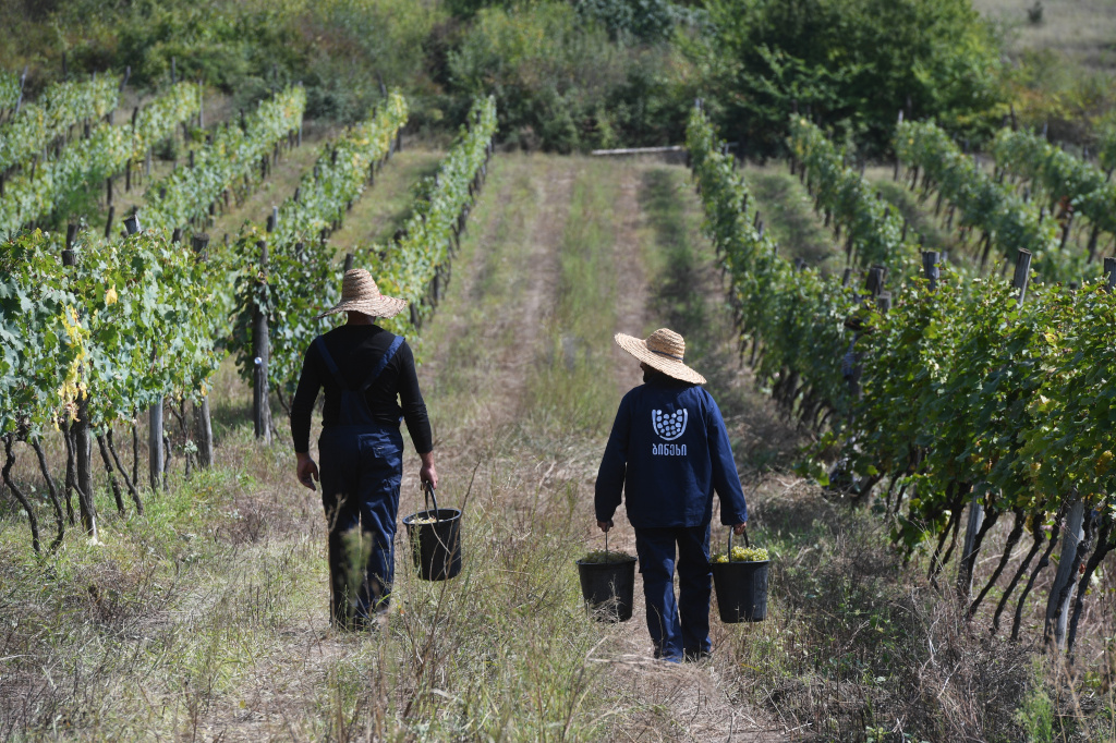 Про путь от искусства к виноделию