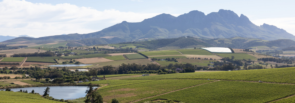 хозяйства и династии