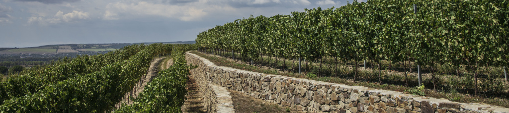 Имение «Сикоры»