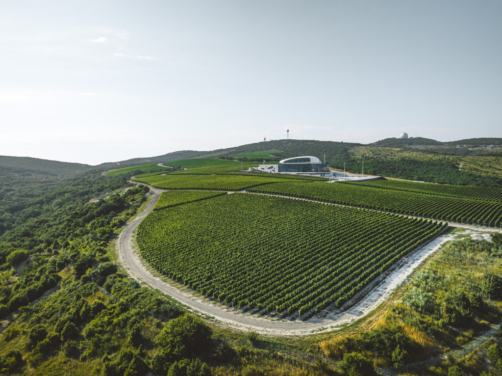 Скалистый берег