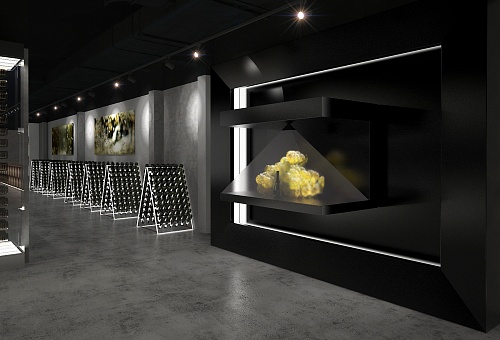 Винный подвал в Шампанерии