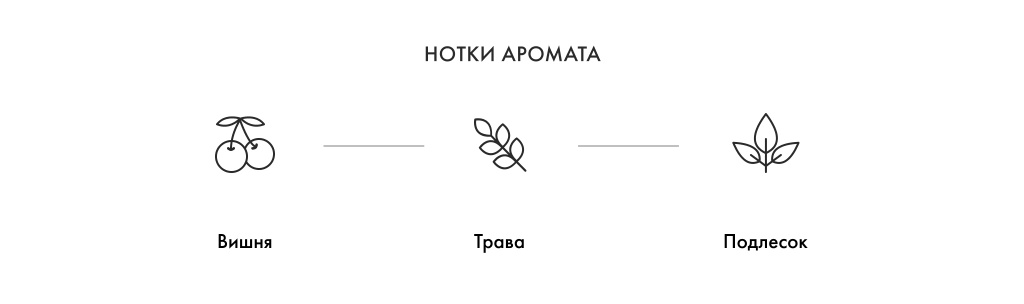 Нотки аромата
