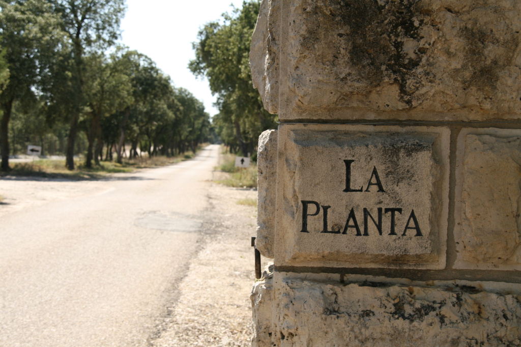 Arzuaga на карте Риберы-дель-Дуэро