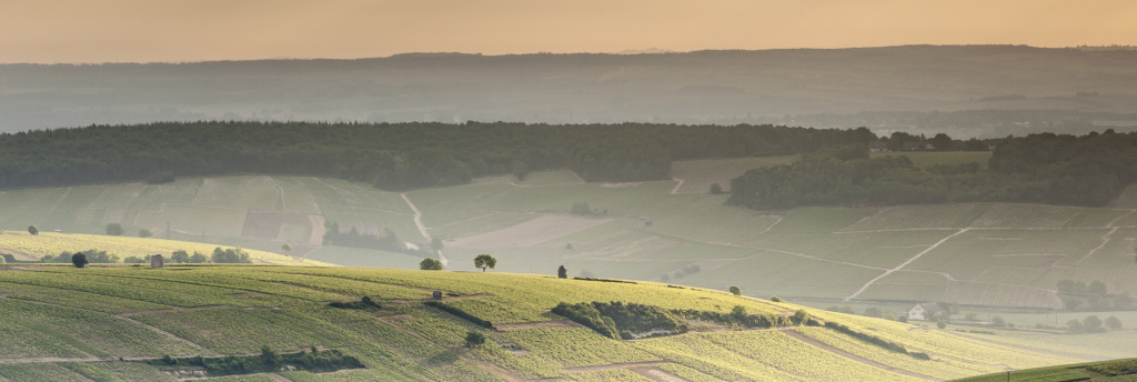 Долина Луары