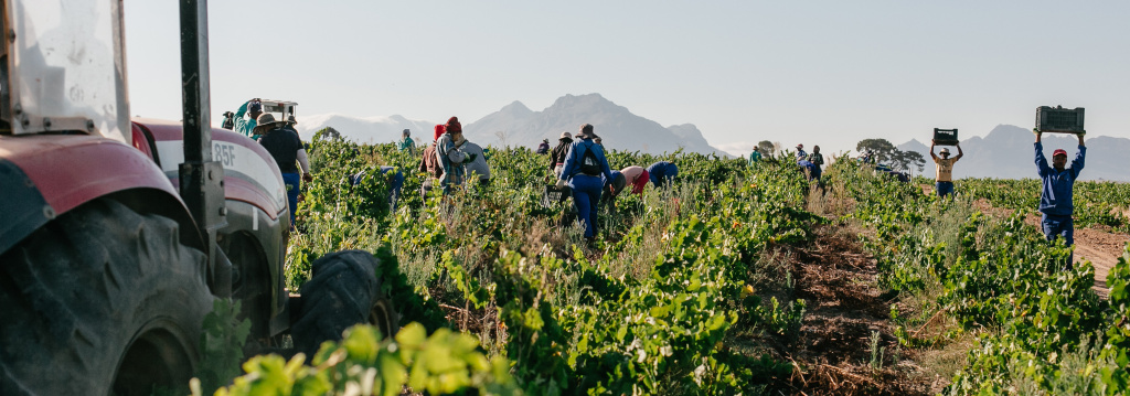 хозяйства и династии