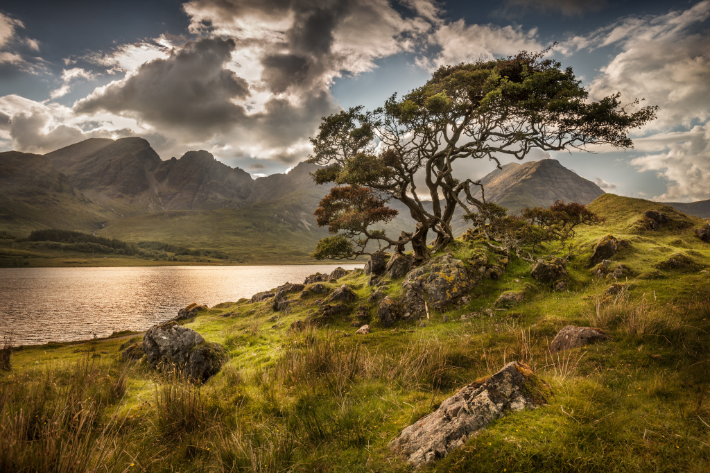 Маклауды держатся крепко