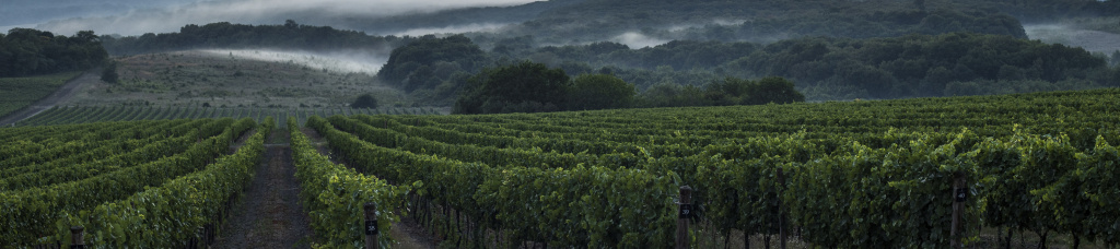 Галицкий и Галицкий